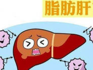 不是胖子才会得脂肪肝！爱喝酒、吃宵夜的朋友都要注意