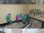 以练促防 安全护航——我院组织开展消防安全应急演练暨安全培训